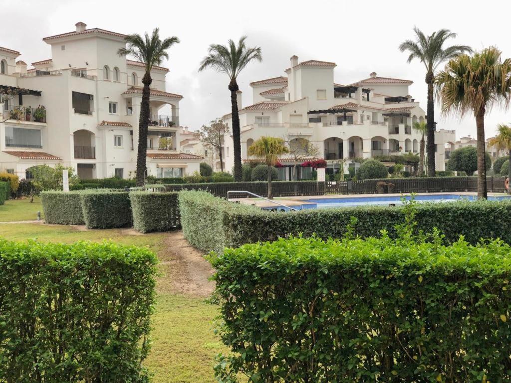 Villa Life . Precioso Bajo Frente Piscina Sucina Eksteriør billede